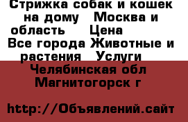 Стрижка собак и кошек на дому.  Москва и область.  › Цена ­ 1 200 - Все города Животные и растения » Услуги   . Челябинская обл.,Магнитогорск г.